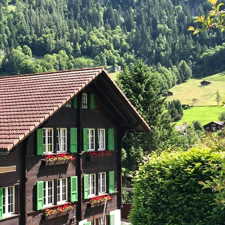 Iconic Valley View Amazing Design King Bed Lauterbrunnen